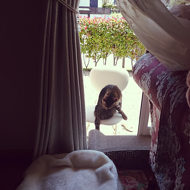 lilyさんの実例写真