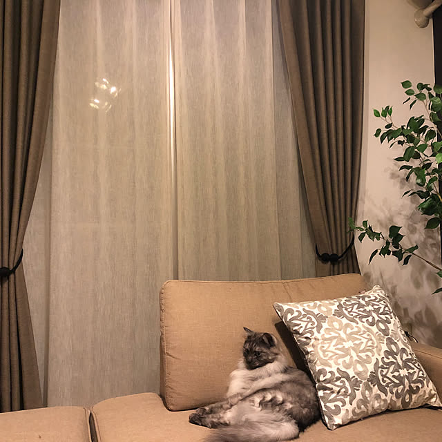 miiさんの実例写真