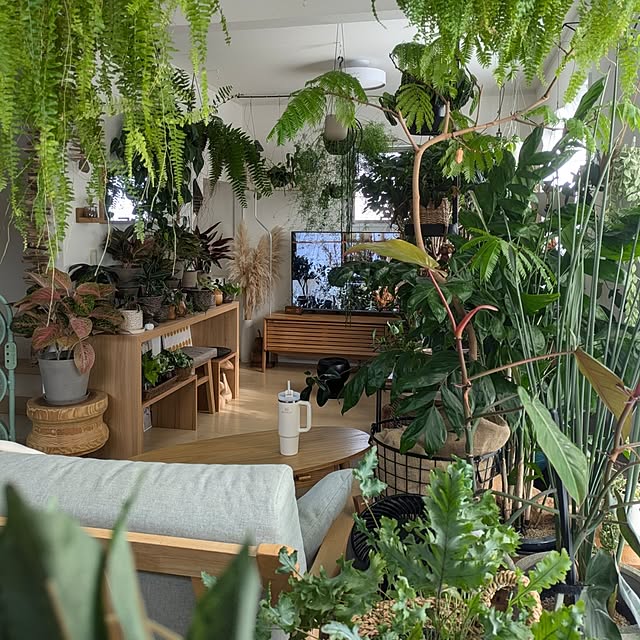 ayamameさんの部屋