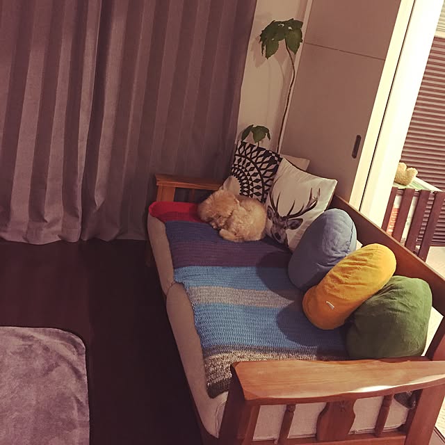 miruさんの実例写真