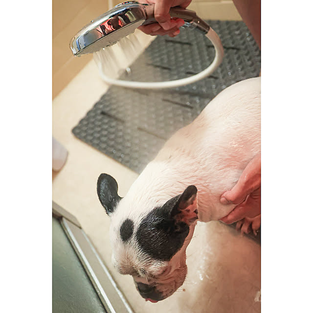 chobinonさんの実例写真