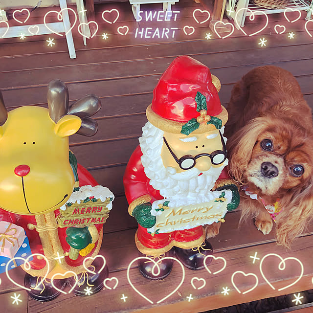 juncocoさんの実例写真