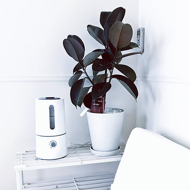 sienさんの実例写真