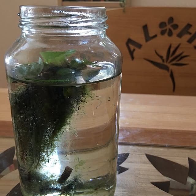 alohamamaさんの実例写真