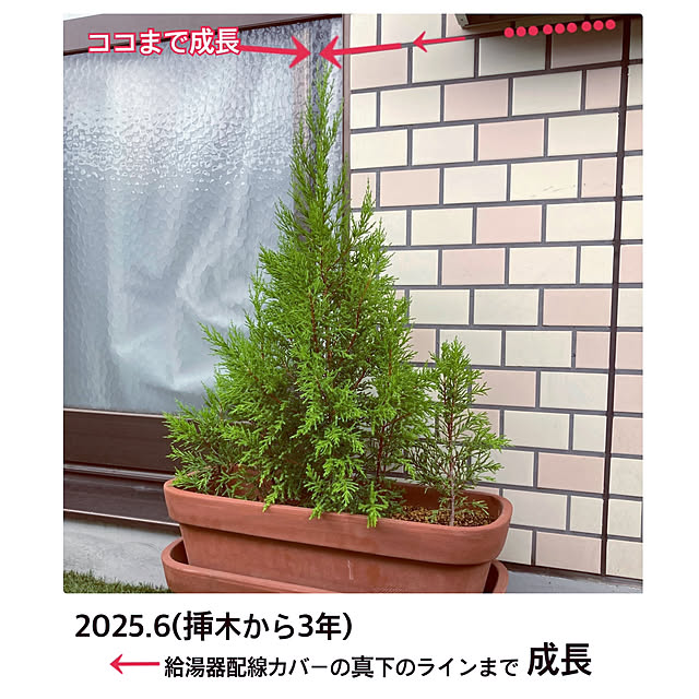 madamkaoriさんの部屋