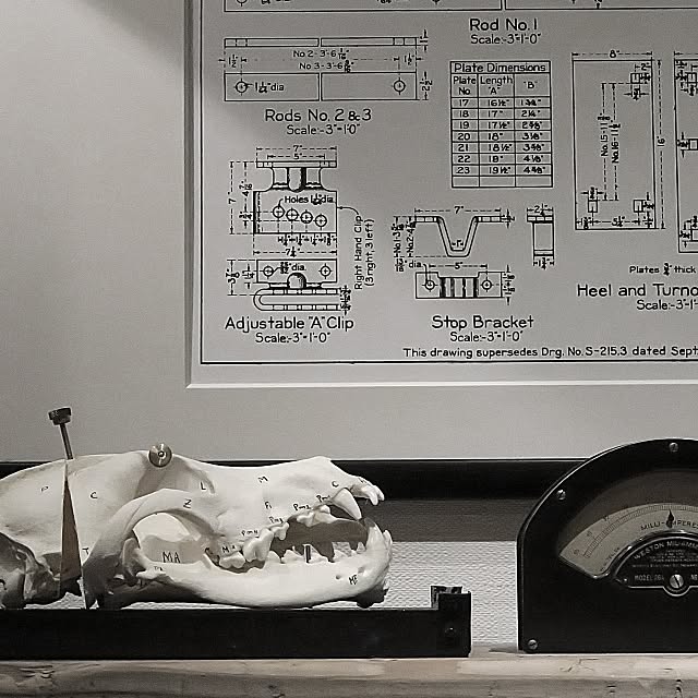 piyohopさんの実例写真