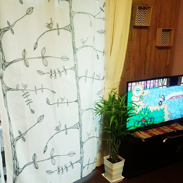 chi.chi.chi.930さんの実例写真