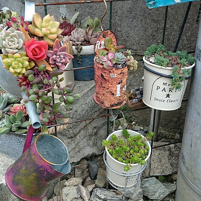 2mama_taniku_3jbさんの実例写真