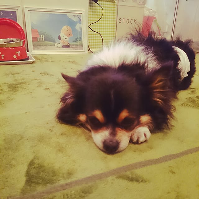 rinmarorinさんの実例写真