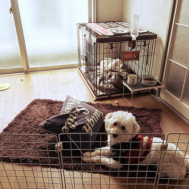 anさんの実例写真