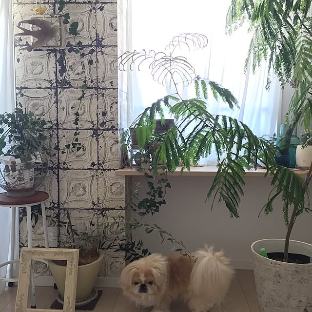bubuさんの実例写真