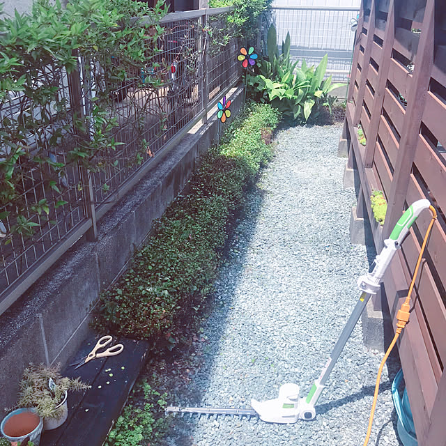 portulacaさんの実例写真