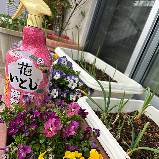 syutmmさんの実例写真