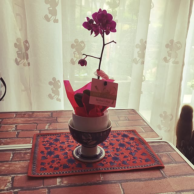machakoさんの実例写真