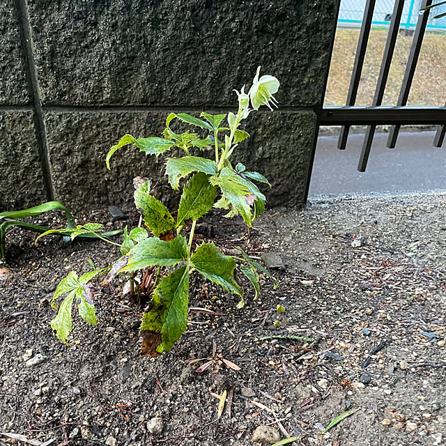 shin0719さんの部屋