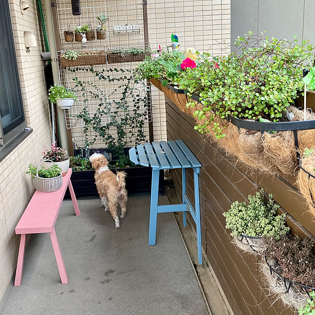 marukoさんの部屋