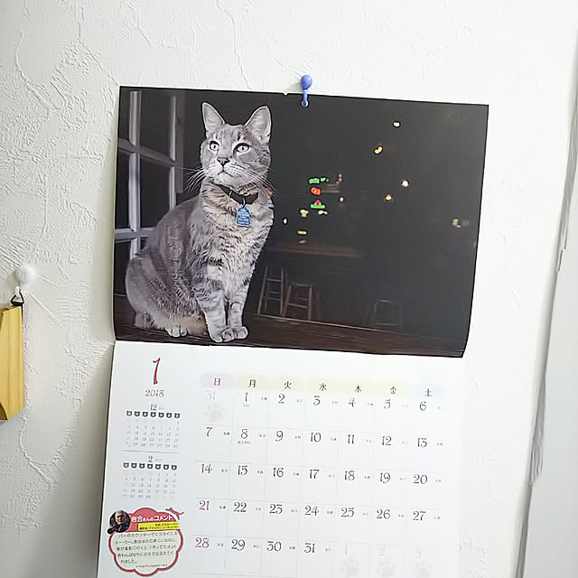 chachamaruさんの実例写真
