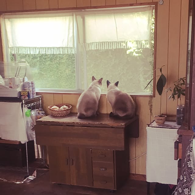 ykkap0さんの実例写真