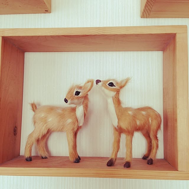 takaさんの実例写真
