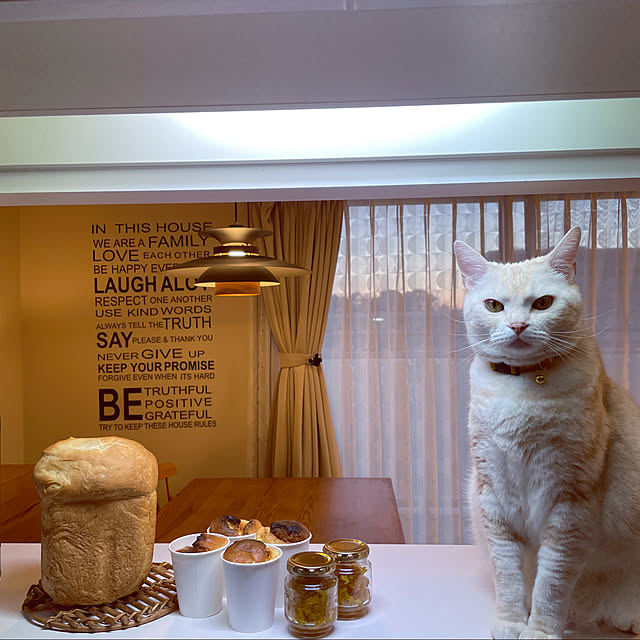 hiyupan88さんの実例写真