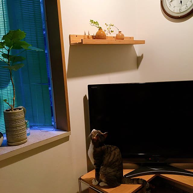 nobikoさんの実例写真
