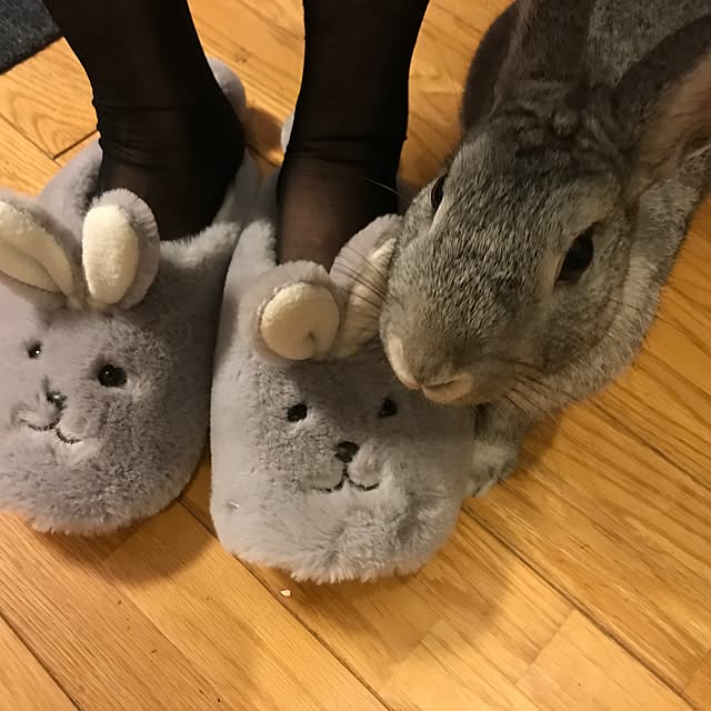 0shucream45xxさんの実例写真