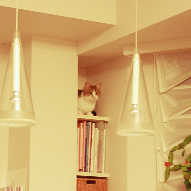 nyaoさんの実例写真