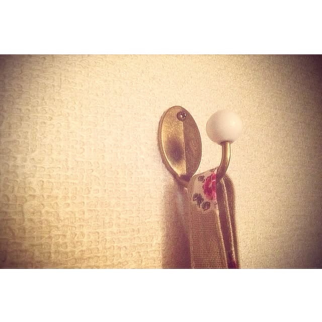 ciel...antiqueさんの実例写真