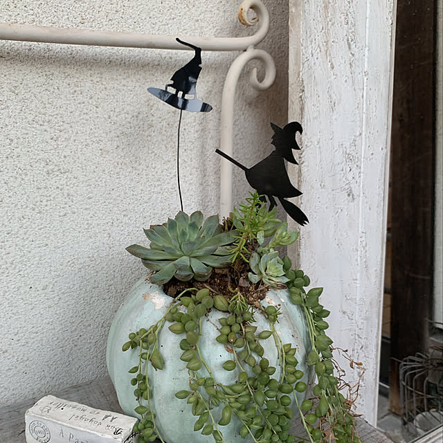 Makoさんの実例写真
