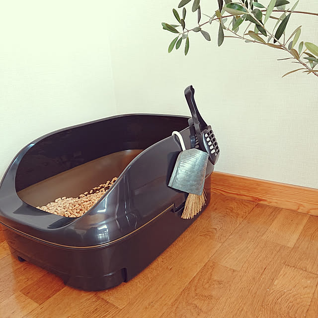 botanさんの実例写真