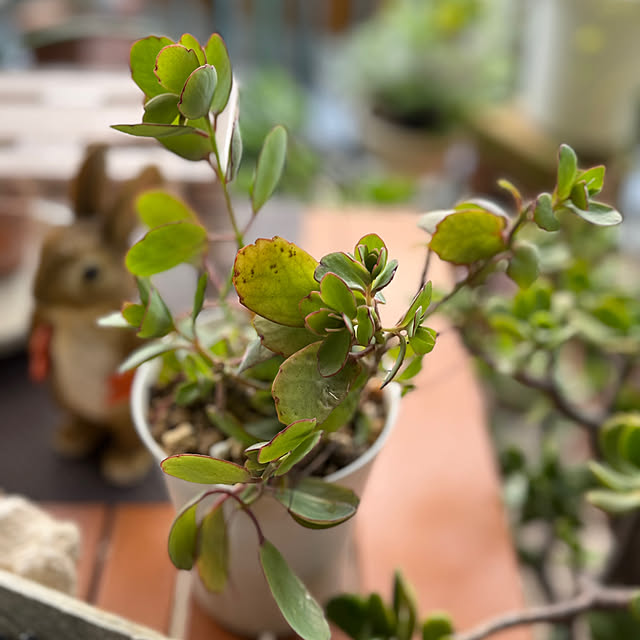 Aqettyさんの部屋