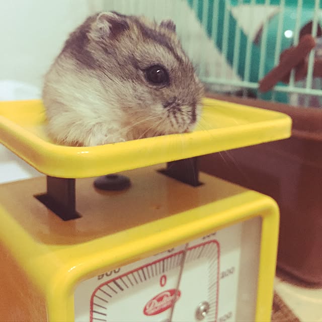 KMKMさんの実例写真