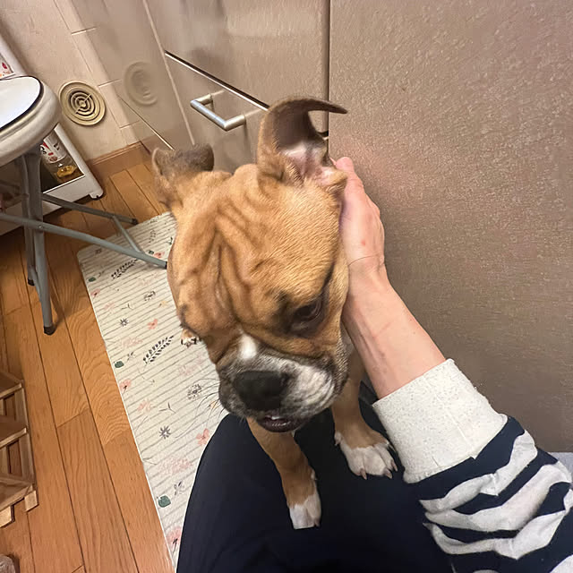 chi_gogaさんの部屋