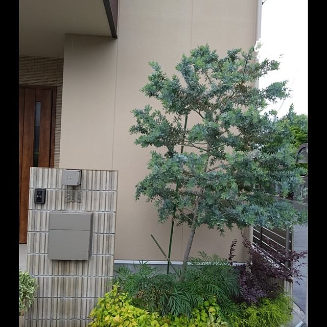 odecomaikoさんの実例写真