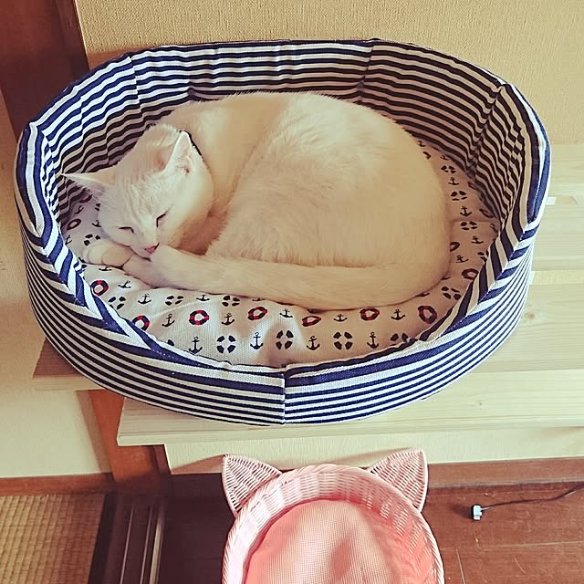 YUKIさんの実例写真