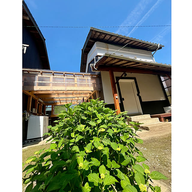 cotaさんの部屋