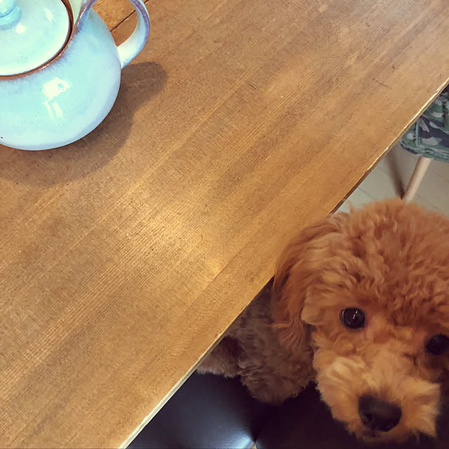 nikoさんの実例写真