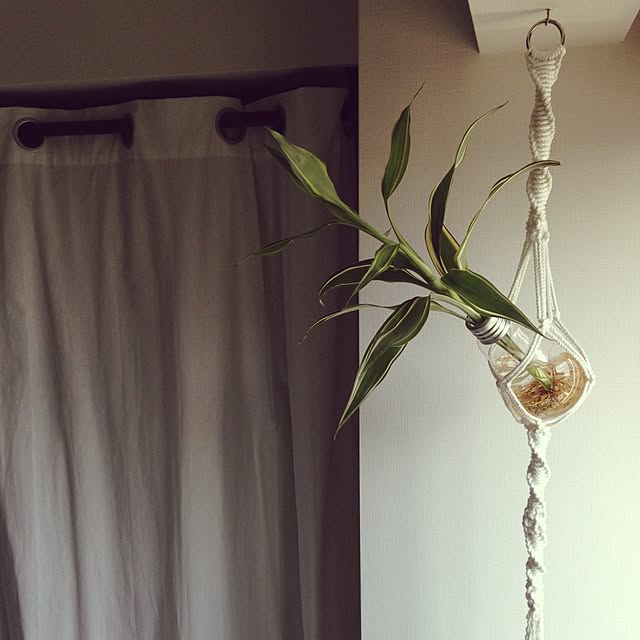 covananaさんの実例写真