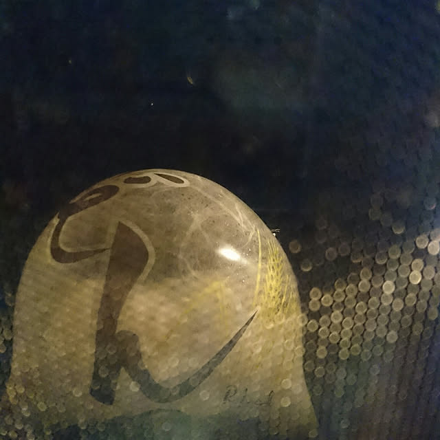 konさんの実例写真