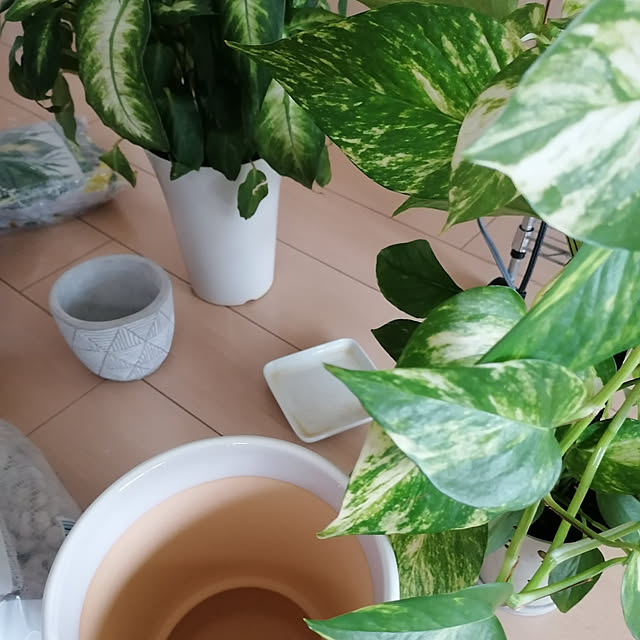 A-Cup-of-Teaさんの実例写真