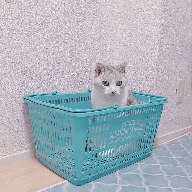 Lisbethさんの実例写真