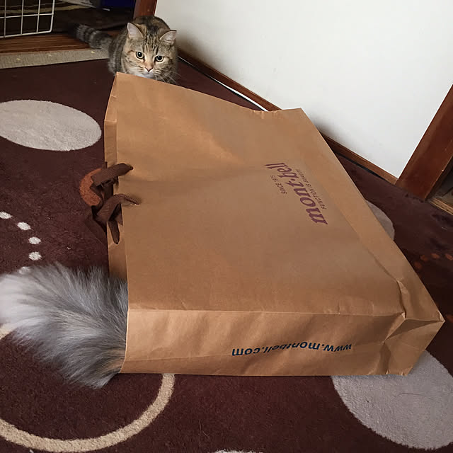 keibooさんの実例写真