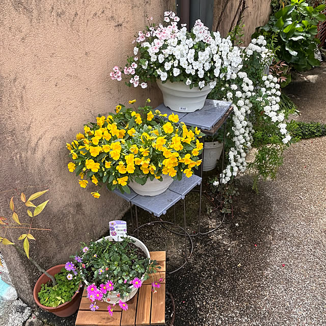 fumikoiさんの部屋