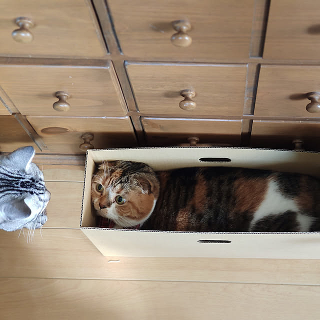 hiro3さんの実例写真