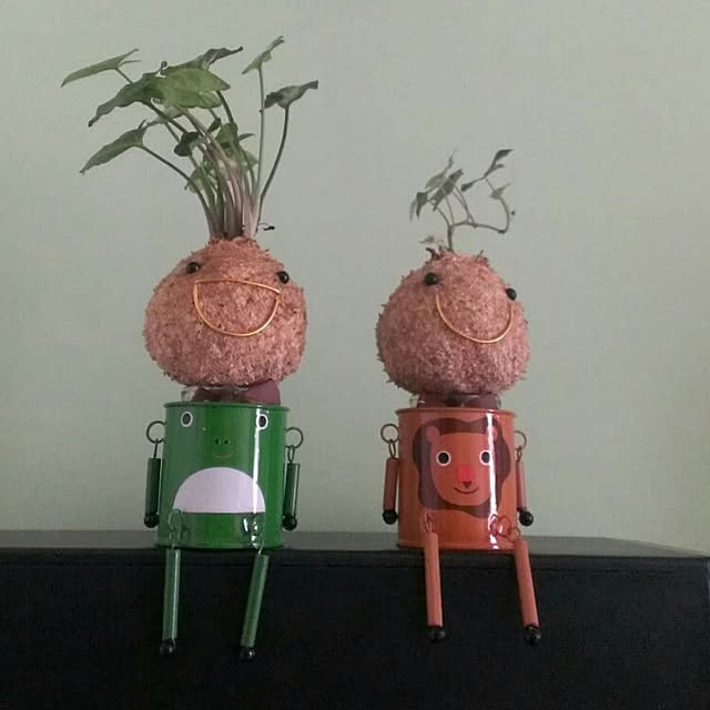 実例写真