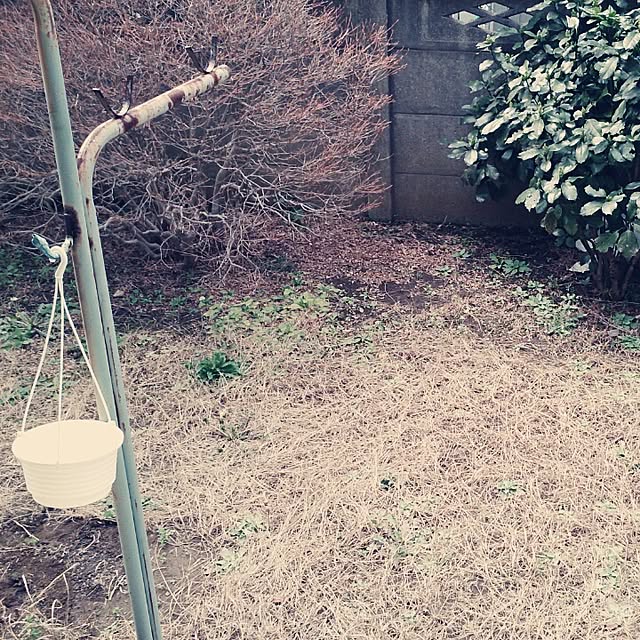 sakiさんの実例写真
