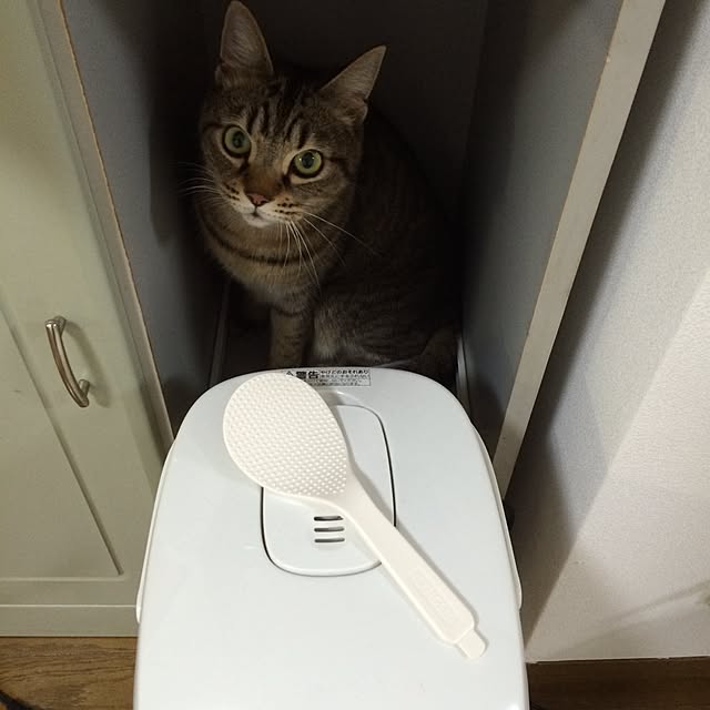 mamiさんの実例写真