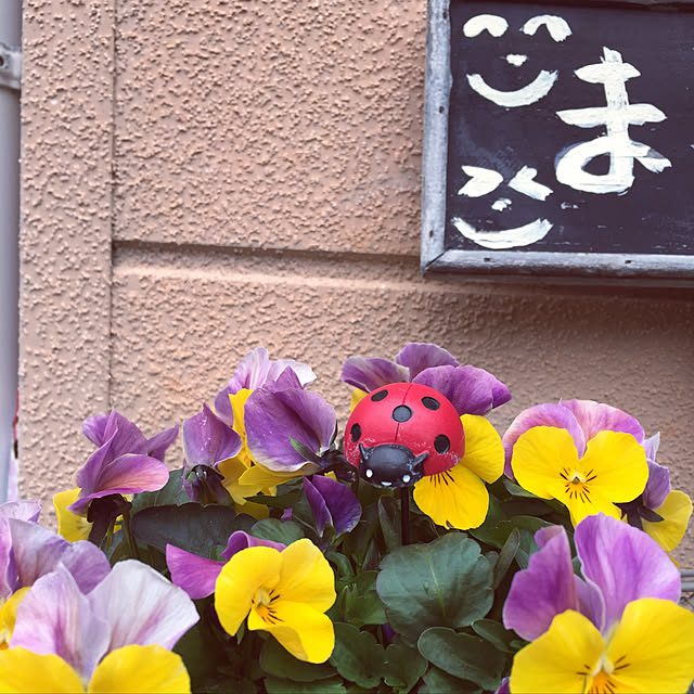 takakoさんの実例写真