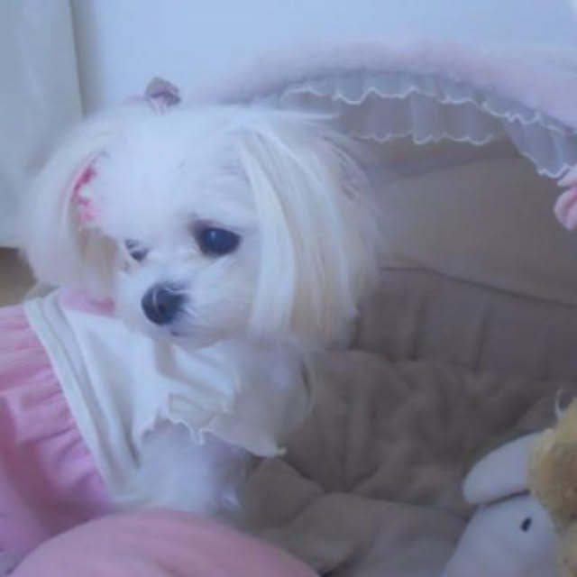 coco13-loveさんの実例写真