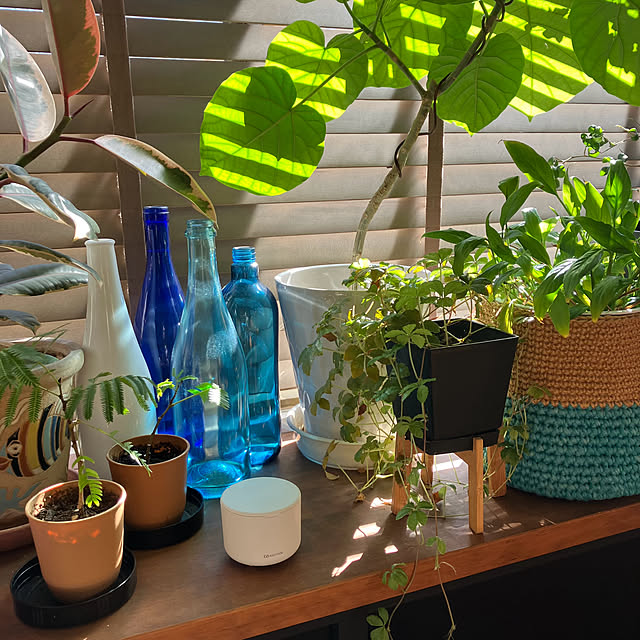 kan2さんの実例写真